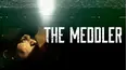 The Meddler