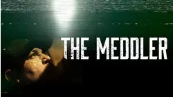 The Meddler