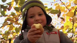 Apple Cider