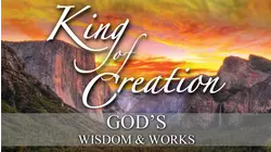 King of Creation