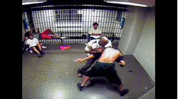 World's Wildest Police Videos