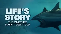 Life's Story: The One That Hasn't Been Told