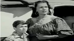 Joey And The Gypsies