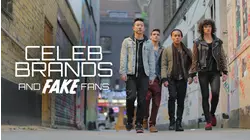 Celeb Brands and Fake Fans