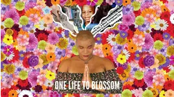 One Life to Blossom