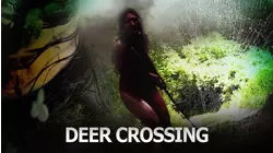 Deer Crossing