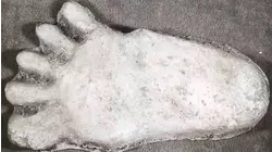 Utah Bigfoot Hunt and More