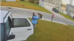 Rabid Bobcat Attack and More