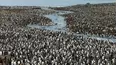 Wildest Places: Antarctic