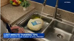 Last-minute turkey thawing tips - What to do if turkey is frozen on Thanksgiving