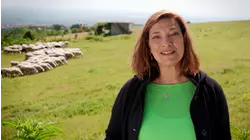 Greek Mountain Cheeses