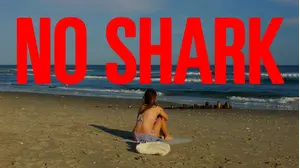 No Shark