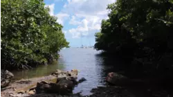 Beaches of the U.S. Virgin Islands featuring Colbie Caillat, Los Lonely Boys, The Beach Boys, and Jason Mraz