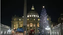 Encienden el árbol de Navidad en la plaza de San Pedro del Vaticano