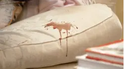 Here Are the Best Ways to Clean Stains and Save Your Money