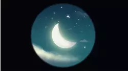 Our little forest friends