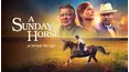 A Sunday Horse