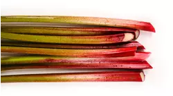 World in Miniature and More