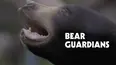 Bear Guardians