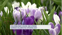 Colorblends gallery house and flower garden open for 2026 spring season