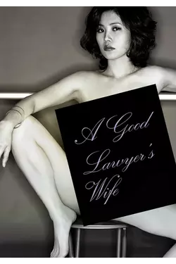 A Good Lawyer's Wife
