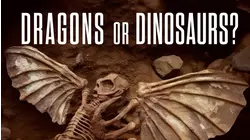 Dragons or Dinosaurs?
