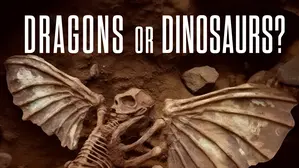Dragons or Dinosaurs?