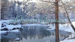 A Natural Christmas