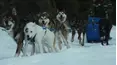 World's Wildest City: Anchorage