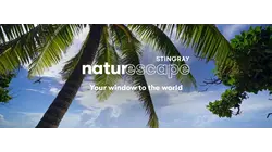 Glistening Island Beach