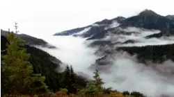 Hurricane Ridge, Washington featuring Tracy Chapman