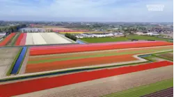 How One Tiny Country Rivals American Farming
