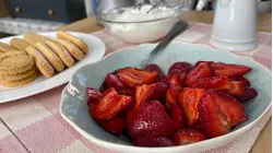 Something For Everyone