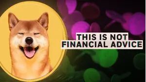 This Is Not Financial Advice