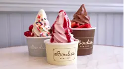 Fro-Yo Gets a Gourmet Makeover: Inside the 2026 Revival