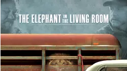 The Elephant in the Living Room