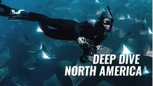 Deep Dive North America