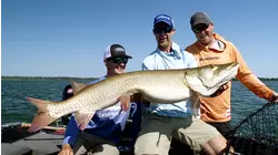 Casting Summertime Big Water Muskies