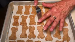 Yorktown woman celebrates 20 years of making homemade dog treats through Fi-Dough Inc.