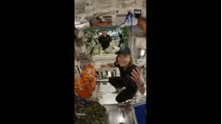 Artemis II astronauts give inside look at Orion spacecraft ahead of mission