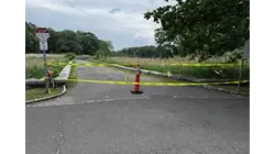 Coyotes with pups prompt closure of part of Great Island in Darien