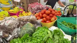 $20,000 gift helps Connecticut Foodshare keep deliveries moving amid rising expenses