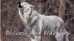 Wolf on the Loose
