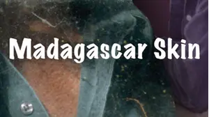 Madagascar Skin