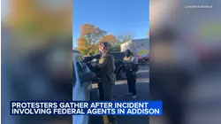 Video shows feds break car window, detain occupants in Addison
