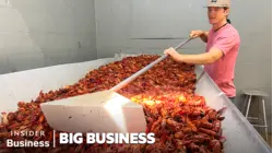 How A Louisiana Crawfish Company Harvests 60,000 pounds A Day