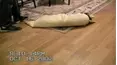 Life's Funniest Moments