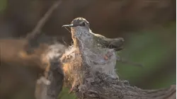 Location, Location, Location