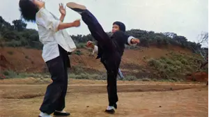 Shaolin Deadly Kicks