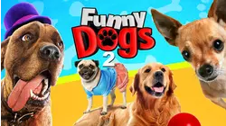 Funny Dogs 2